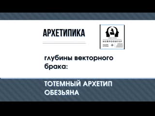 А вы знаете, что такое векторный брак? глубины вектора особенности мужчин в архетипе обезьян