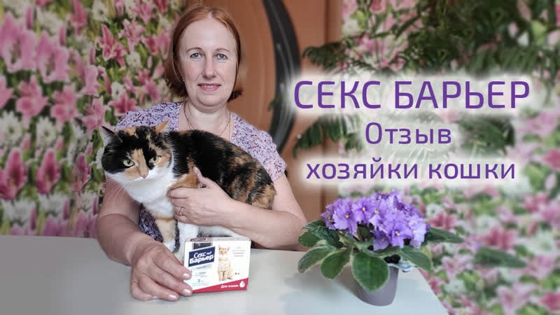 Секс барьер капли для кошек отзыв хозяйки