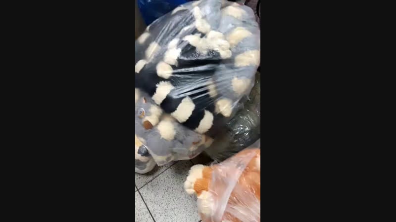 Caдовод меховые пледы и live