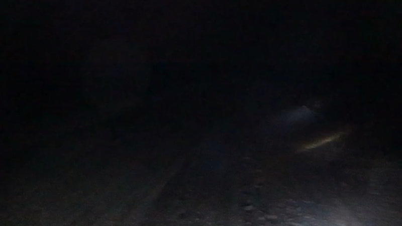 Би лэд модули в противотуманные фары