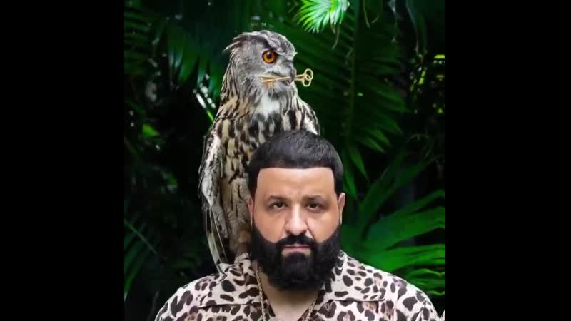Dj khaled teaser