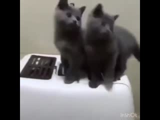 Классная подтанцоа