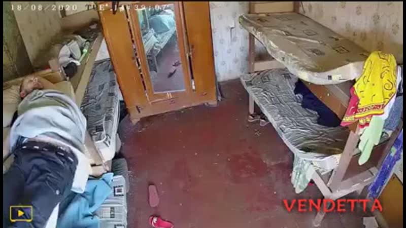 Падали но поднимались