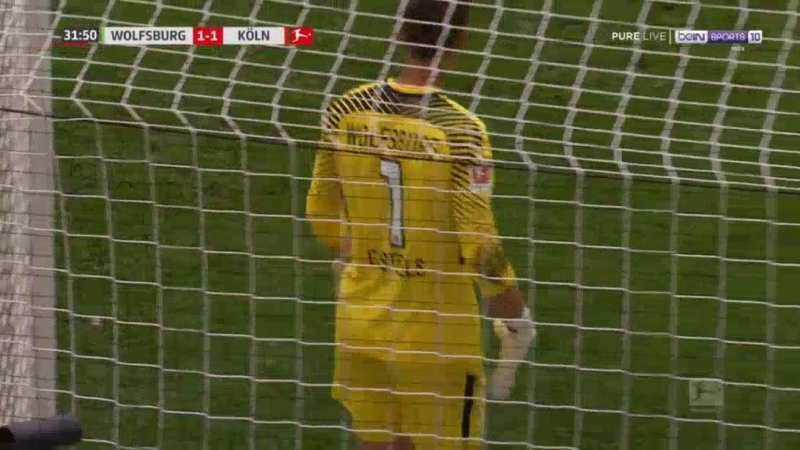 Лучший гол сезона бусндеслиги йонас хектор