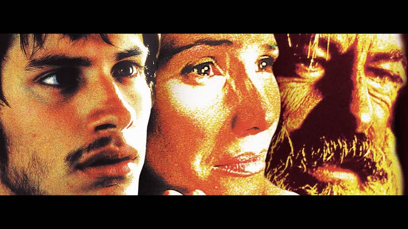 Сука любовь / amores perros