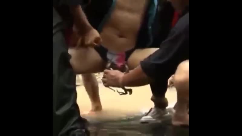 Ловец крабов