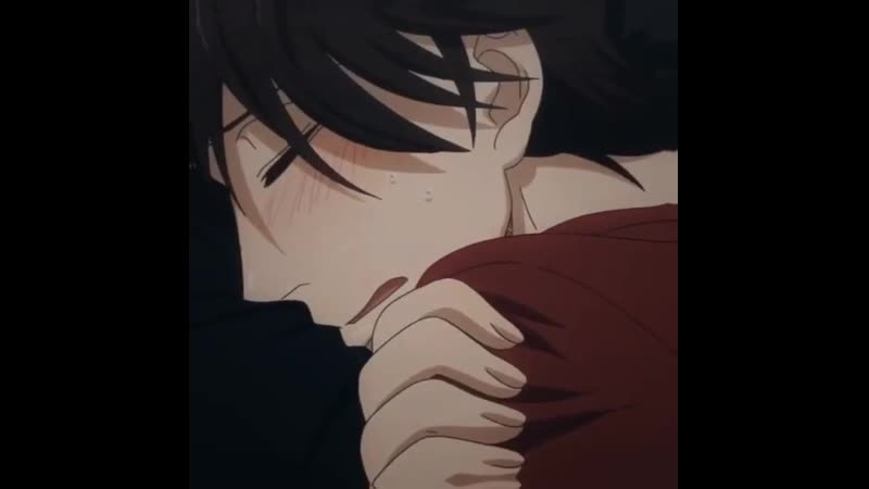 Takato | yaoi edit's |