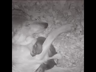 Hard times require moments of soft and huggy