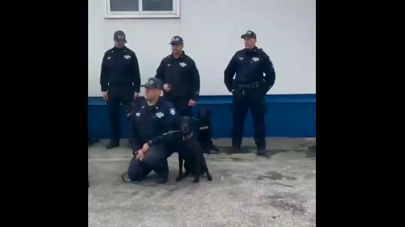 Unit porn video – Meet our crc k9 unit today, our @nypdct crc k9 officers spent the morning training with their k9 companions continuous train