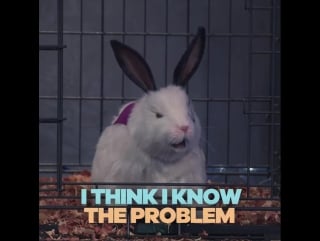 Who has the best #bottleflipping skills? see if max can step up his game on tomorrow's new #thundermans! 😂