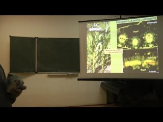 Физиология растений фотосинтез чуб в в 2014 часть 2