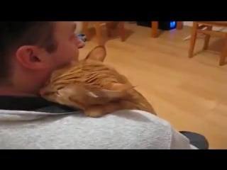 Любитель обнимашек