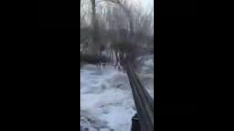 Ohota na kabana! gigantskiy kaban atakuet ohotnika hunting for a wild boar! huge boar attacks hunter 17