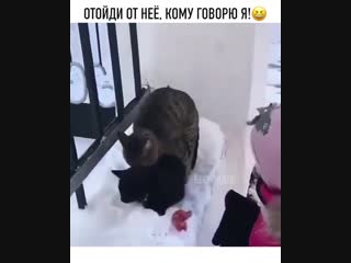 Отойди от нее, кому говорю я!