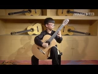 Ran zhuo (china), j k mertz fantasie hongroise