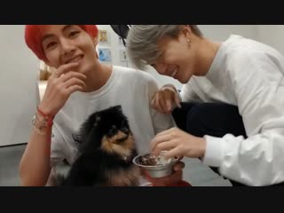 Bts russian crack # 13 тосик лапку даст