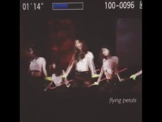 150426 catch me if you can fancam by flying petals