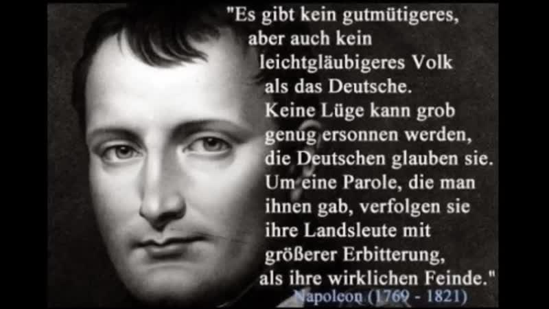 Gelbe westen yellow west systemkritiker