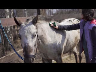 Баярд сначала чистим, потом ездим