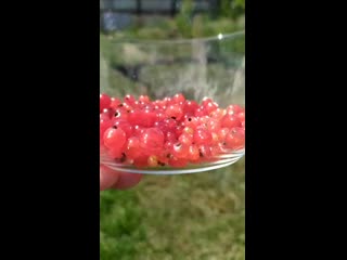 Vid 20200630 115710 mp4