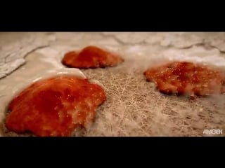 Bone remodeling and modeling