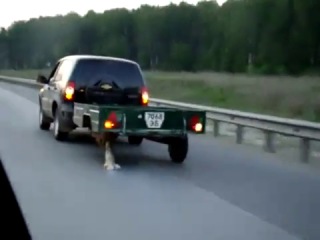 Русские непобедимы