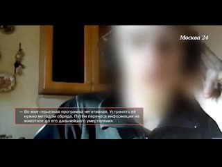 Осквернение половым членом