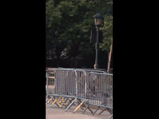 Ryan walker / кутёж family