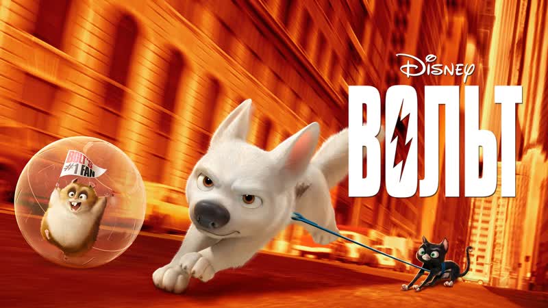 Порнодағы әйелдердің оргазмын қараңыз