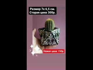 Видео от madam aloevera succulent smolensk