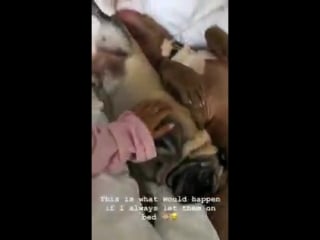 Instagram leigh en su instagram stories hace unas horas 2 2