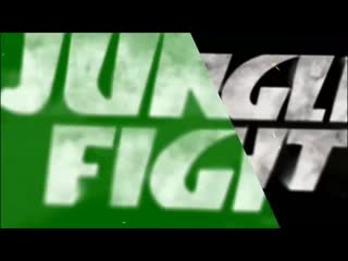 Jungle fight 94