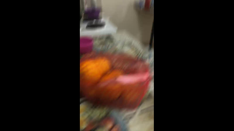 Сплетник котласа live