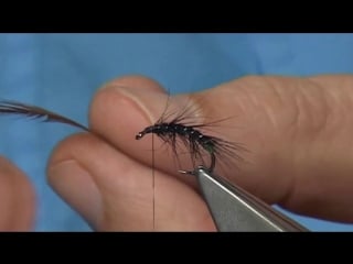 Tying a soft hackle kate snatcher with davie mcphail