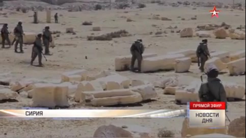 Риск и отвага как российские саперы делают пальмиру безопаснее