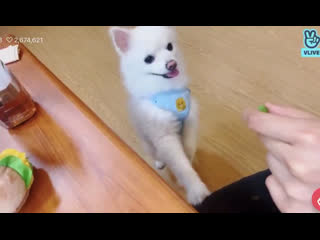 Sunny being cute