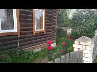 Vid 20190726 180449 mp4