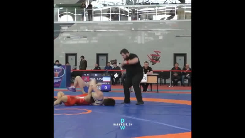 Shamil mamedov wrestling