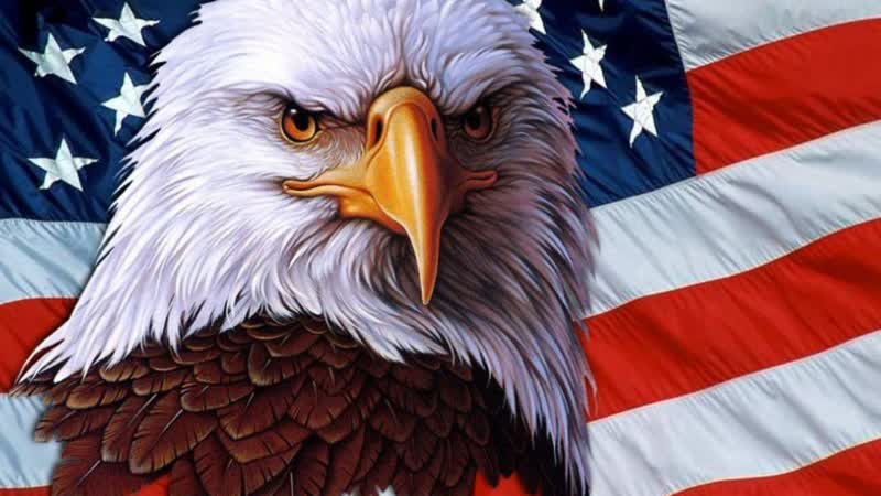Саня во флориде кремниевая долина очередная дичь! #usa #сша #санявофлориде #саня во флориде