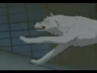 Волчий дождь падали, но поднимались