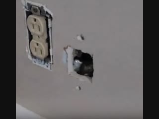 Закрываем дырку в стене