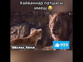 Elmai tatar 20200423 155946 0 mp4