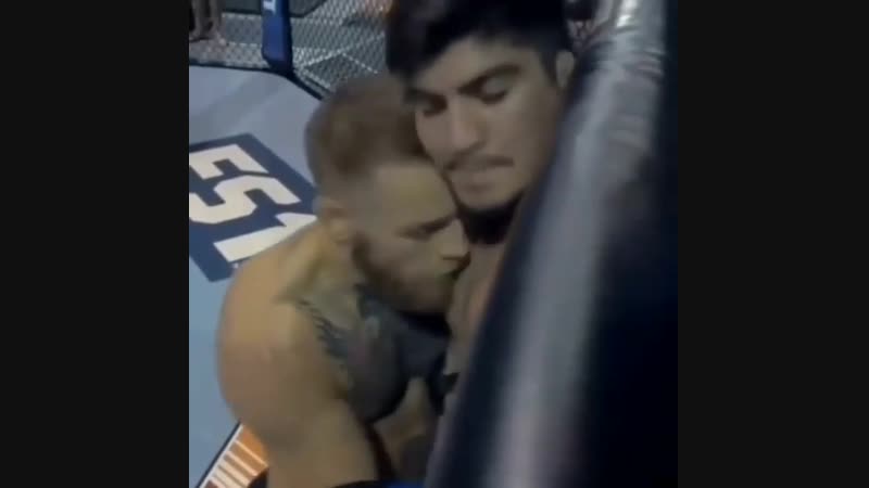 Тренироа конора