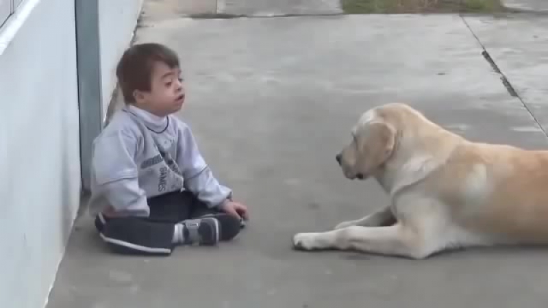 Этот мальчик с синдромом дауна не выносит прикосновений только пес подобрал ключ к его душе!