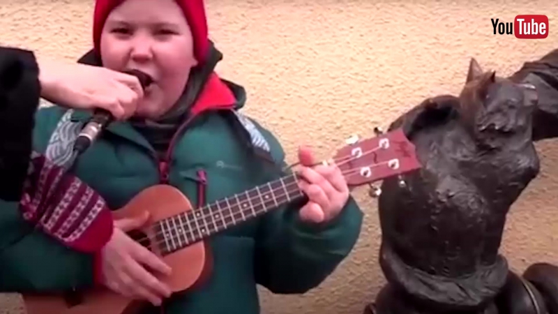 Вить’ок устроил благотворительный концерт ради голодных котов