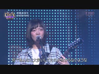 Shishamo mizuiro no hibi (cdtv premier live 2018 2019 )