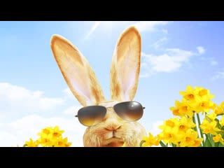 Sexy easter bunny kate upton