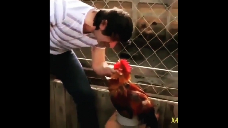 Настройка будильника