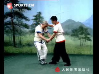 Китайская борьба шуай джао (shuai jiao)