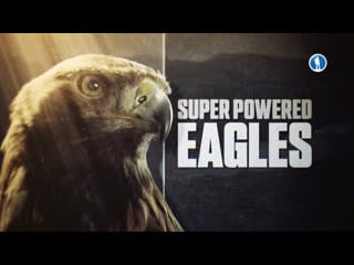 Могучие орлы (2020) hd 1080